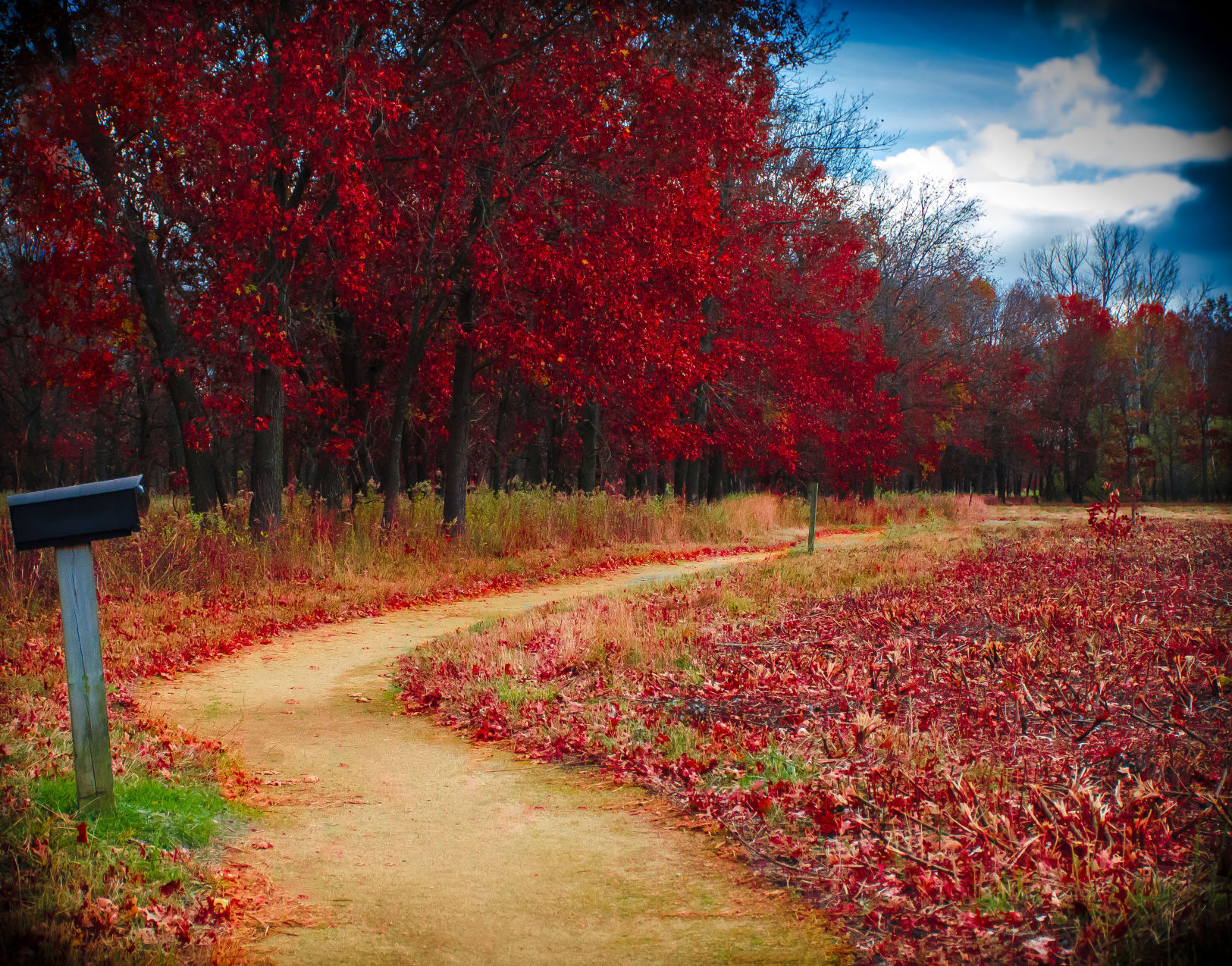 Hoosier Prairie Nature Preserve